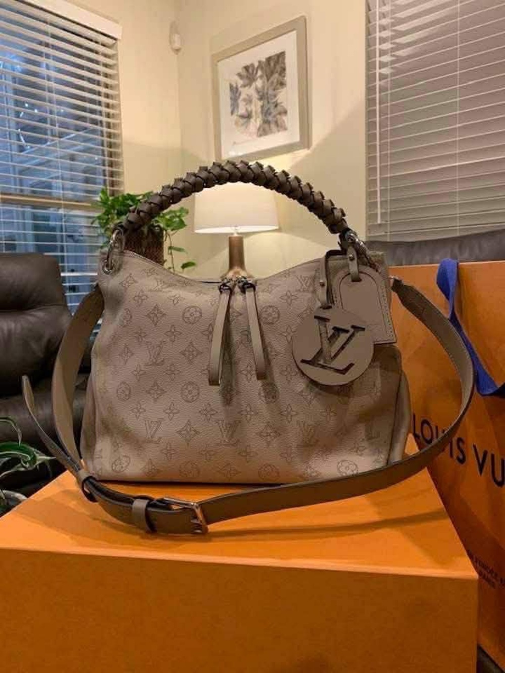 Louis Vuitton Taupe Monogram Braided-Handle Shoulder Bag